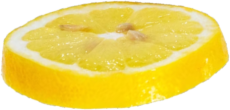 pescheria_limone_5-1.png